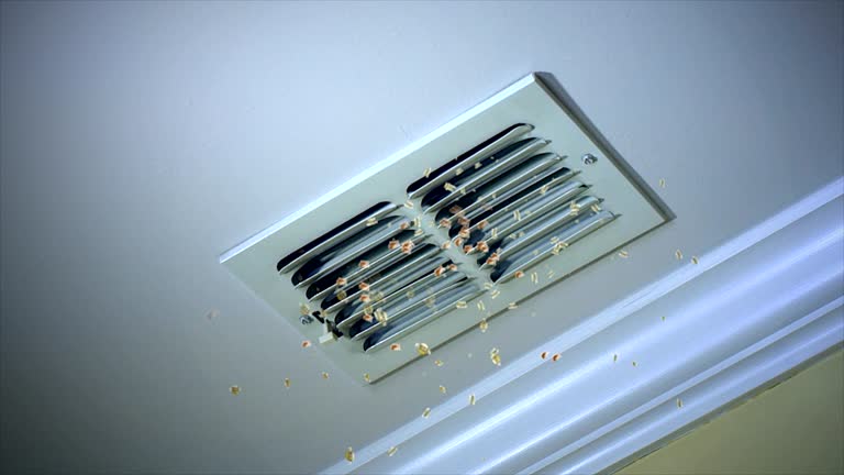 Home Air Vent Cleaning in Glenwood, GA