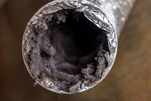 Air Duct Mold Removal in Glenwood, GA