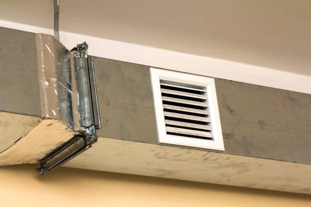 Best Professional Duct Cleaning Services  in Glenwood, GA